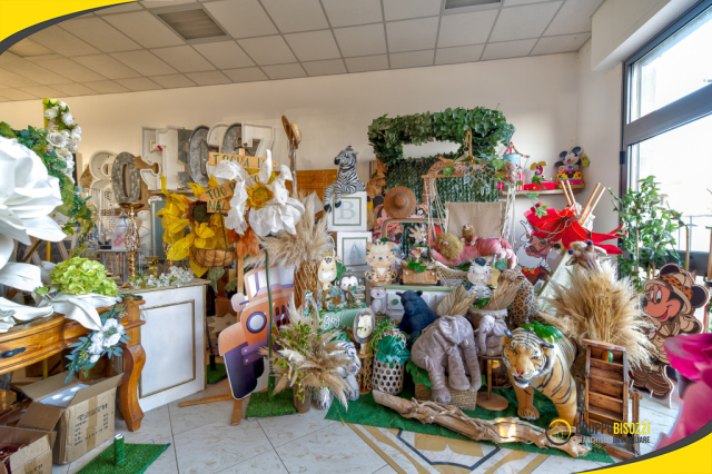 Tarquinia- Attività Commerciale Shabbylandia 