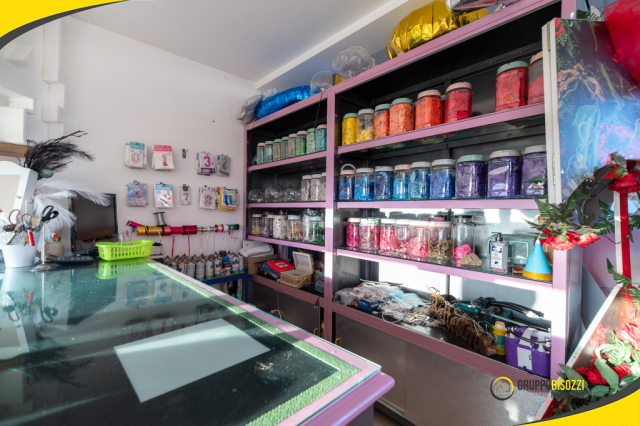 Tarquinia- Attività Commerciale Shabbylandia 