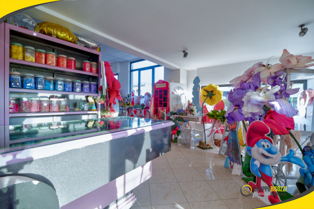 Tarquinia- Attività Commerciale Shabbylandia 