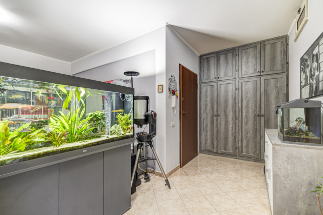 Appartamento con box auto e cantina