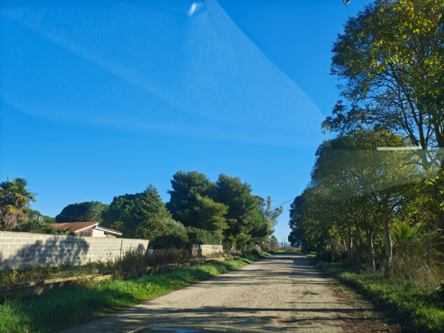 Terreno agricolo in loc. San Giorgio con pozzo  e allaccio elettrico