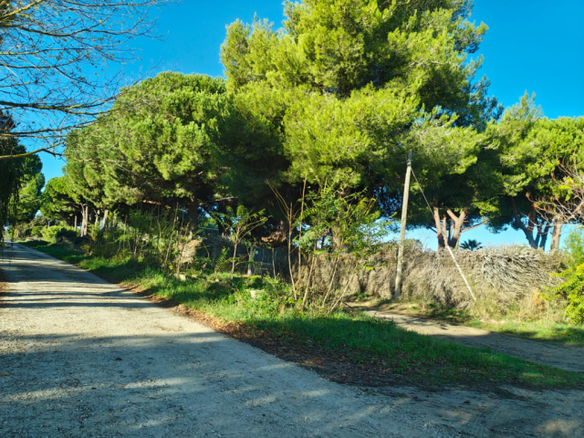 Terreno agricolo in loc. San Giorgio con pozzo  e allaccio elettrico