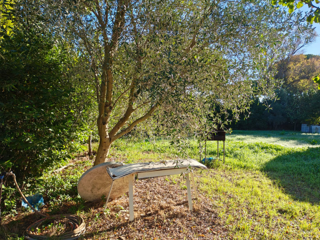 Terreno agricolo in loc. San Giorgio con pozzo  e allaccio elettrico