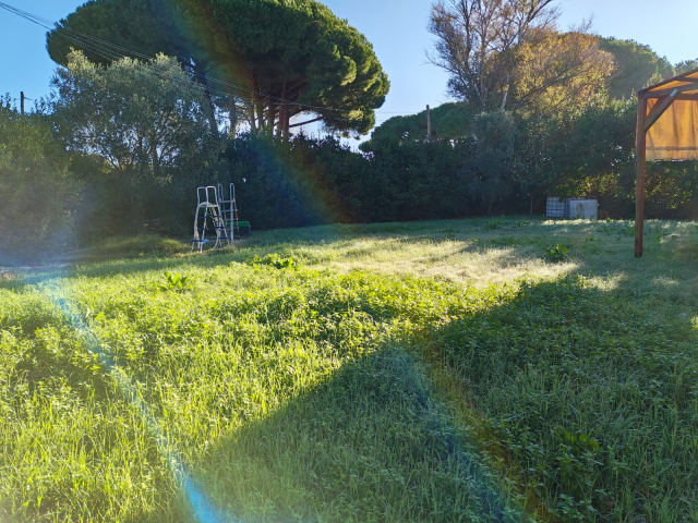 Terreno agricolo in loc. San Giorgio con pozzo  e allaccio elettrico