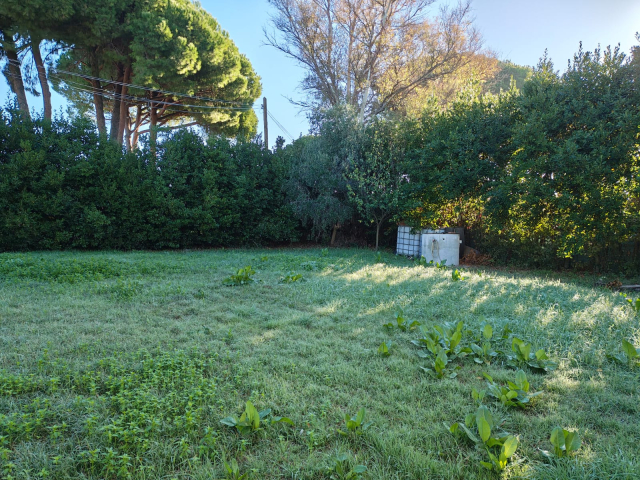 Terreno agricolo in loc. San Giorgio con pozzo  e allaccio elettrico