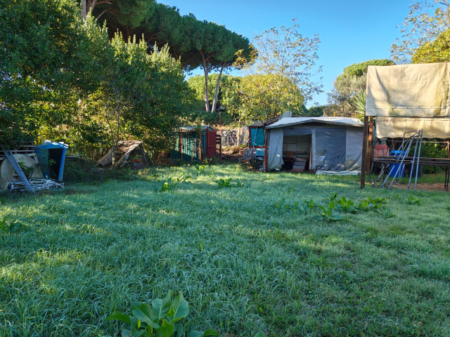 Terreno agricolo in loc. San Giorgio con pozzo  e allaccio elettrico