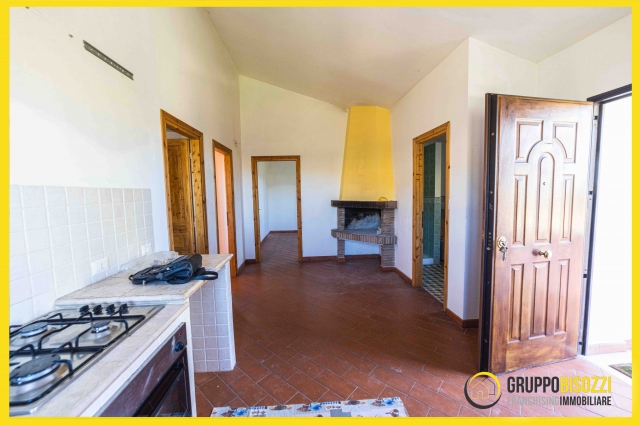 Tarquinia (VT) Loc.Farnesiana 480