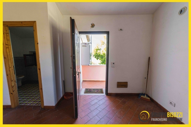 Tarquinia (VT) Loc.Farnesiana 480