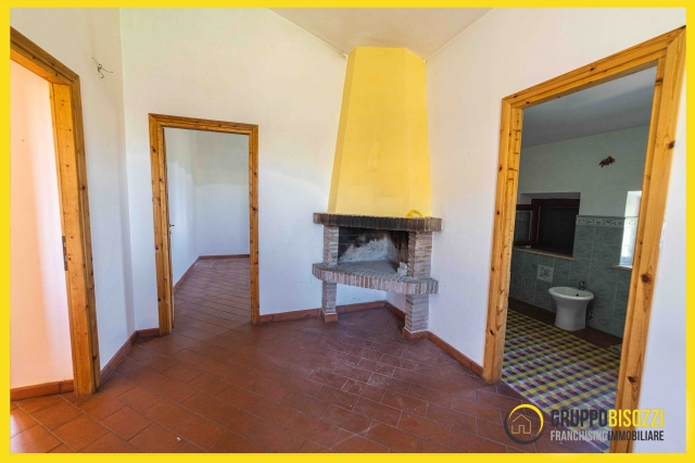 Tarquinia (VT) Loc.Farnesiana 480