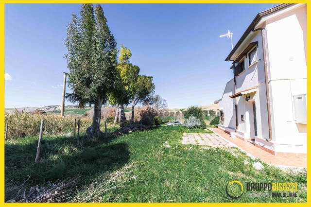 Tarquinia (VT) Loc.Farnesiana 480
